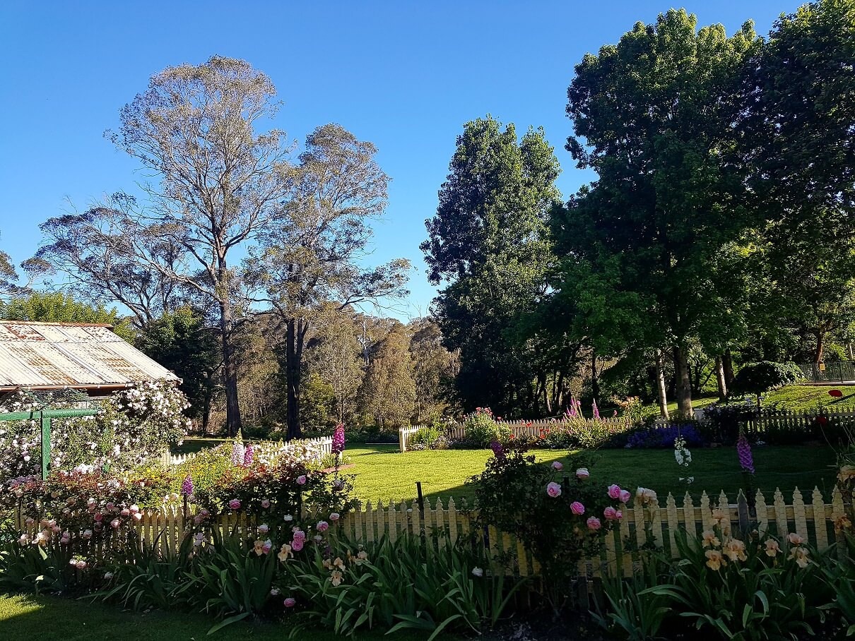 Berrima Motel - Garden